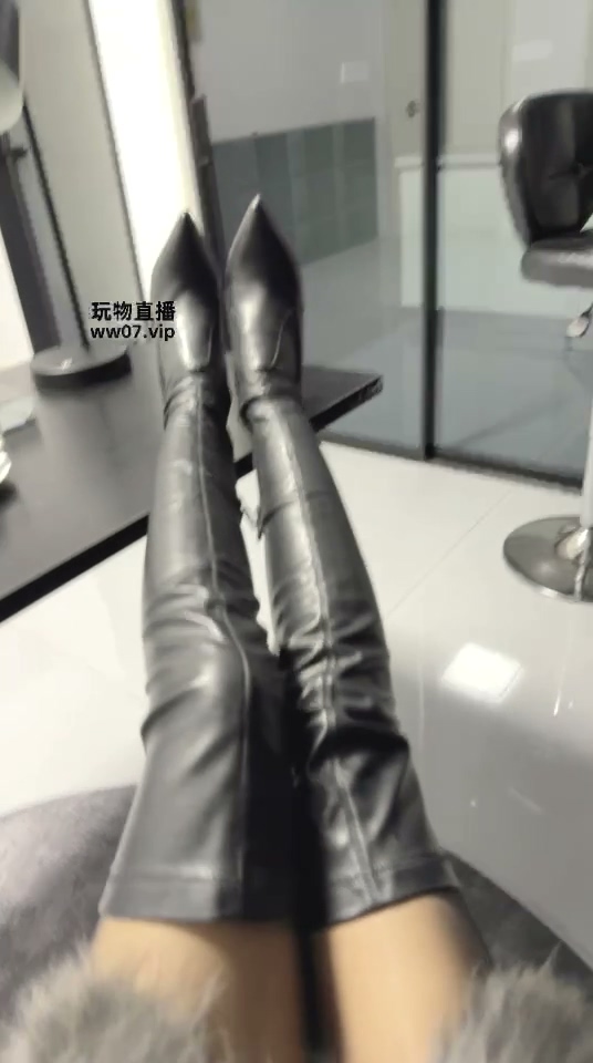 长靴清洁狗
